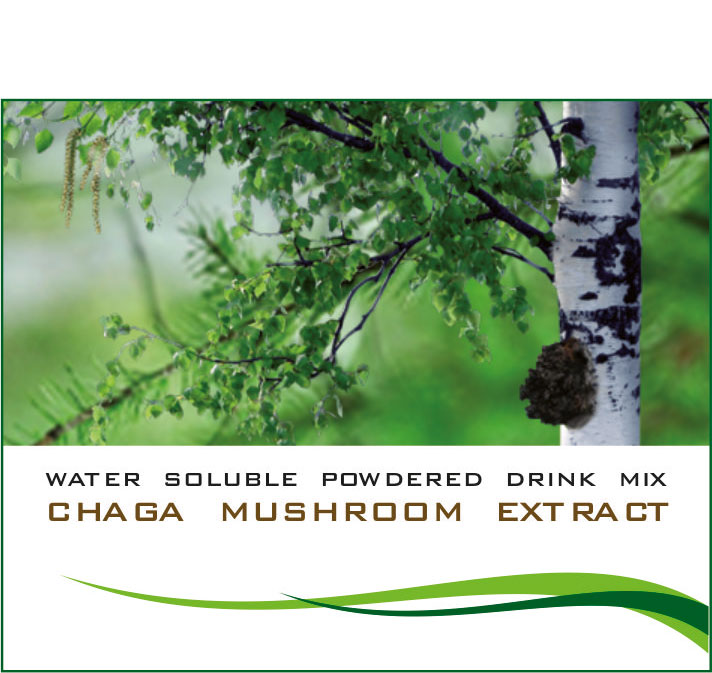 영양제 (BAD) Extrait chaga (자작 나무 버섯)